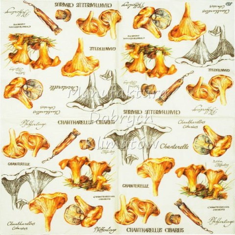 Serwetka nr. 2482 Chanterelle [33x33]