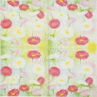 Serwetka nr. 2487 Bellis blossoms [33x33]