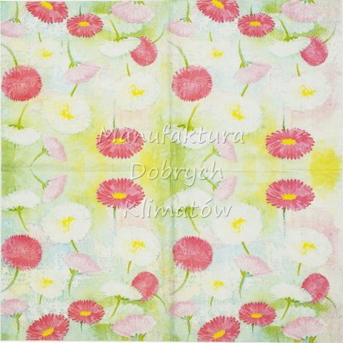 Serwetka nr. 2487 Bellis blossoms [33x33]