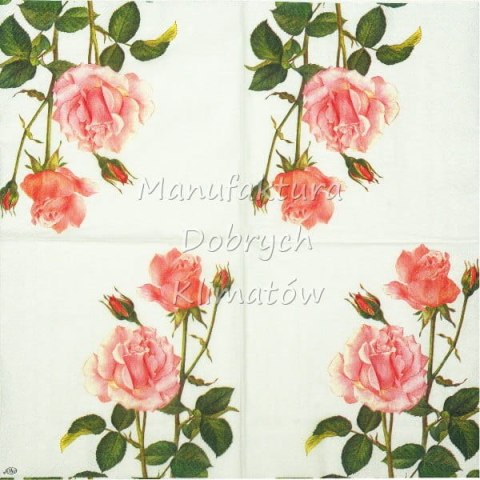 Serwetka nr. 2489 A rose for you [33x33]