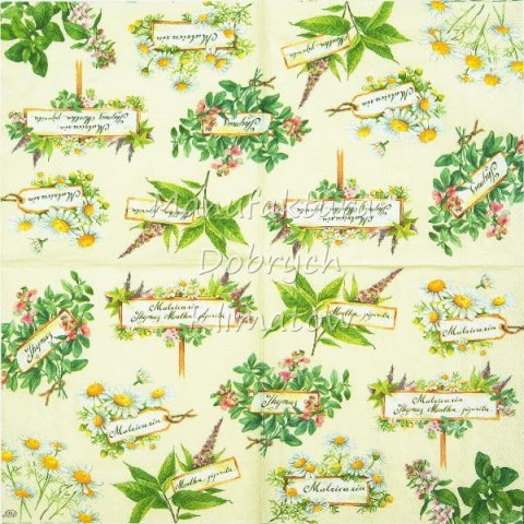 Serwetka nr. 2492 In the herb garden [33x33]