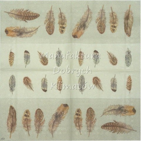 Serwetka nr. 2495 Feathers [33x33]