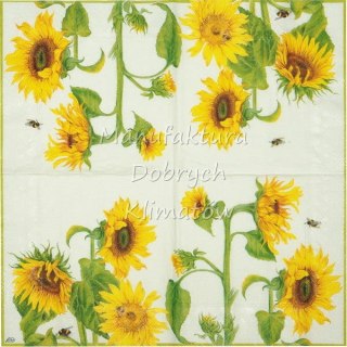 Serwetka nr. 2496 Helianthus annuus [33x33]