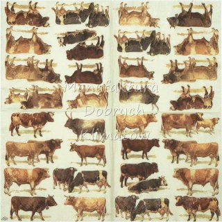 Serwetka nr. 2497 Cows [33x33]