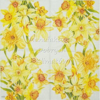 Serwetka nr. 2498 Yellow daffodils [33x33]