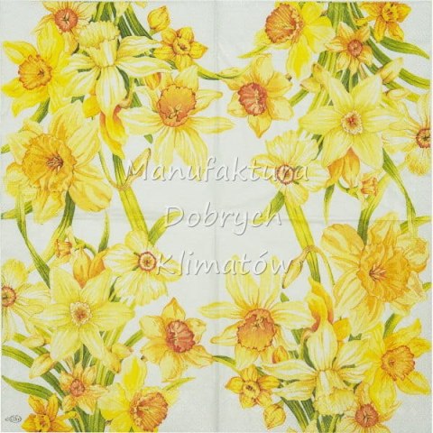Serwetka nr. 2498 Yellow daffodils [33x33]