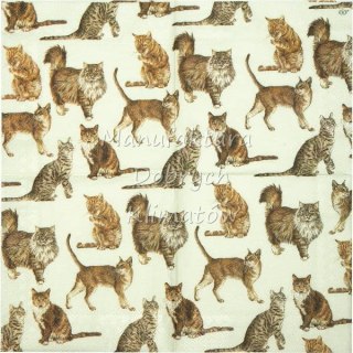 Serwetka nr. 2499 My favorite cat [33x33]