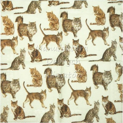 Serwetka nr. 2499 My favorite cat [33x33]