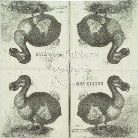 Serwetka nr. 2504 Dodo [33x33]