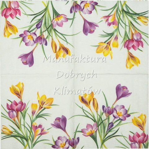 Serwetka nr. 2515 Woodland crocus [33x33]