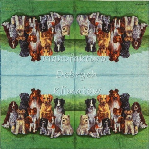 Serwetka nr. 2523 Pedigree dogs [33x33]