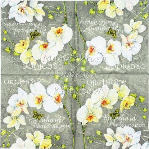 Serwetka nr. 2641 Orchidee [33x33]