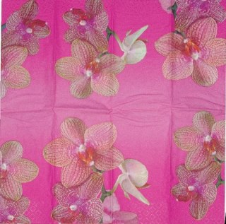 Serwetka nr. 761 [25x25]