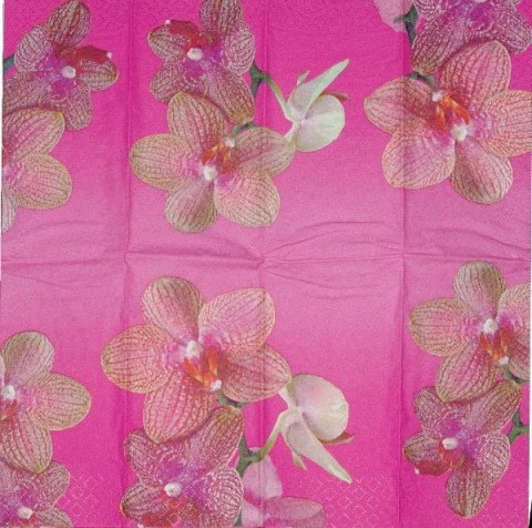 Serwetka nr. 761 [25x25]