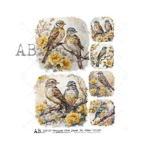 Papier ryżowy Abstudio A4 AB-4564