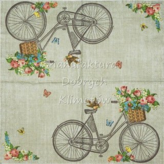 Serwetka nr. 2585 Robin on bike [33x33]