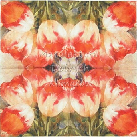 Serwetka nr. 2605 Tulips dream [33x33]