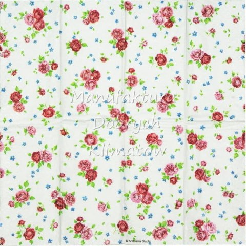 Serwetka nr. 2634 Rosalie white [21x21]