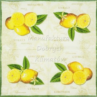 Serwetka nr. 2645 Limonum [33x33]