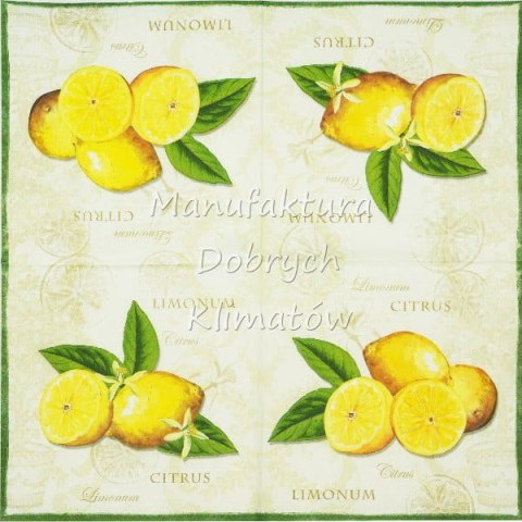 Serwetka nr. 2645 Limonum [33x33]
