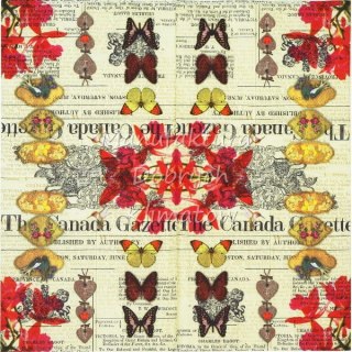 Serwetka nr. 2654 Saskia [33x33]