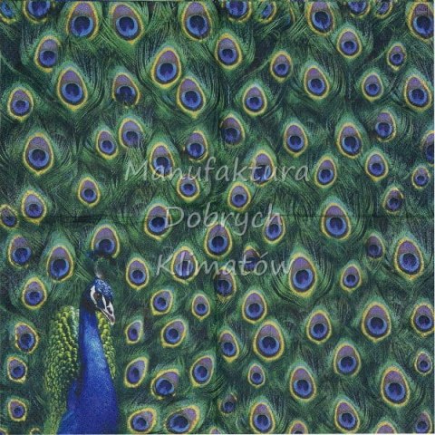 Serwetka nr. 2680 Peacock Feathers [33x33]