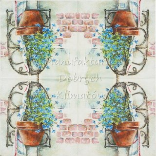 Serwetka nr. 2698 Lucia [33x33]