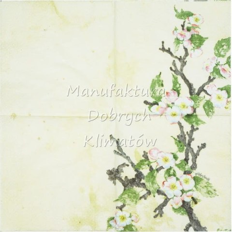 Serwetka nr. 2729 Painted Apple Blossom [33x33]