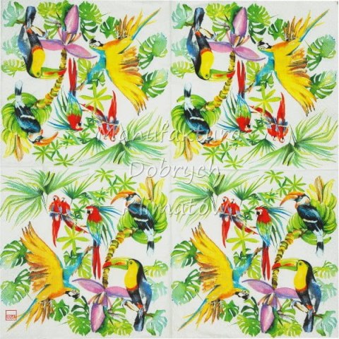 Serwetka nr. 2762 Birds of Paradise [33x33]