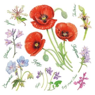 Serwetka nr. 2808 Poppy harmony [33x33]