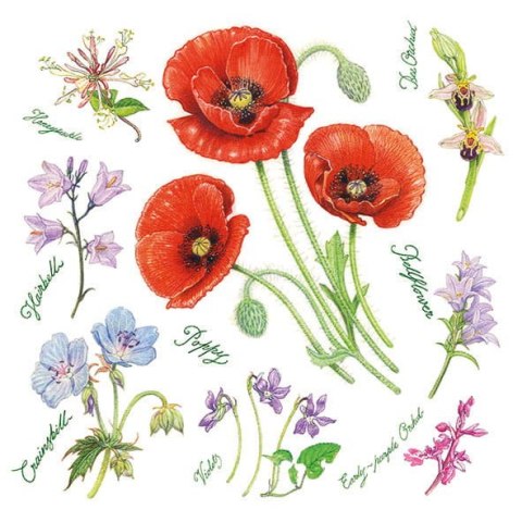 Serwetka nr. 2808 Poppy harmony [33x33]