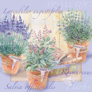 Serwetka nr. 2809 Lavendular [33x33]