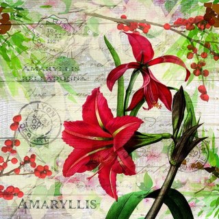 Serwetka nr. 2831 Red amryllis [33x33]