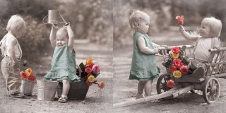 Serwetka nr. 2833 Little Romeo [33x33]