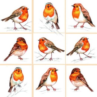 Serwetka nr. 2834 Robinson family [33x33]