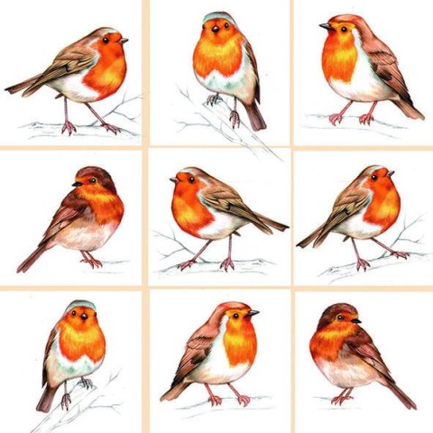 Serwetka nr. 2834 Robinson family [33x33]