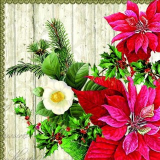 Serwetka nr. 2840 Poinsettia on wood [33x33]