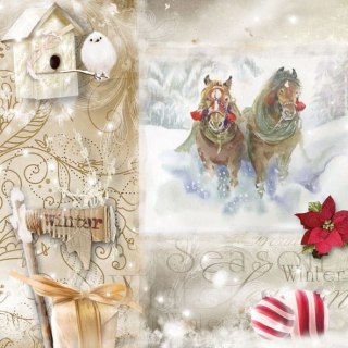 Serwetka nr. 2843 Christmas season [33x33]