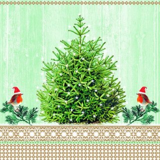 Serwetka nr. 2886 Little robins [33x33]