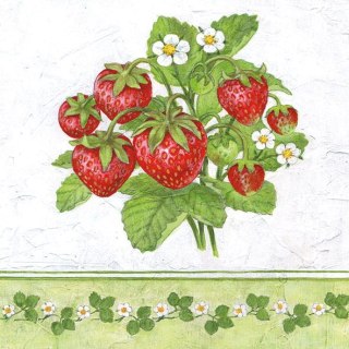 Serwetka nr. 2902 Season fruit [33x33]