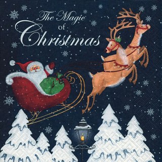 Serwetka nr. 2954 Magic of Christmas [33x33]