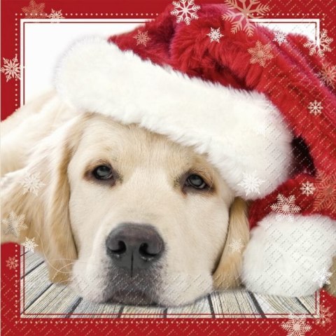 Serwetka nr. 2964 [33x33]