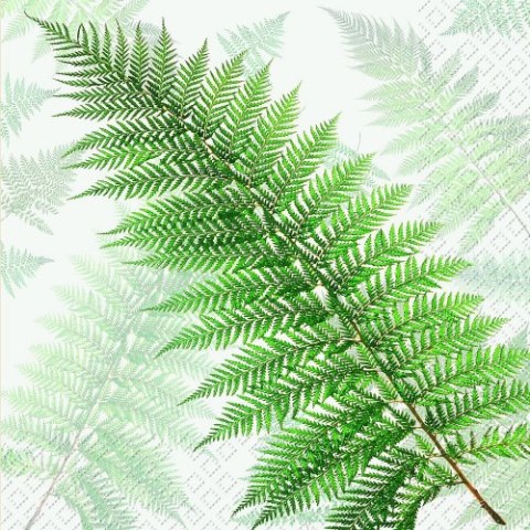 Serwetka nr. 2975 Alamea [33x33]