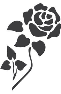 Szablon zmywalny Cadence 15x20cm D1070