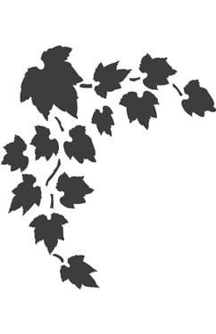 Szablon zmywalny Cadence 15x20cm D1071