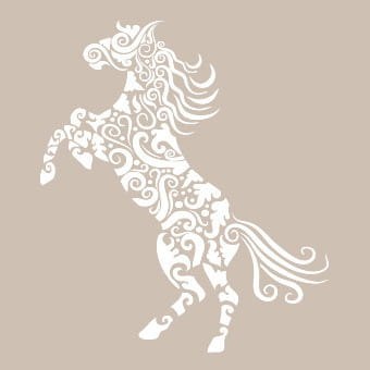 Szablon zmywalny Cadence 21x30cm AS443