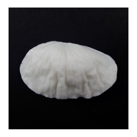 FOAMIRAN-MOLD PŁATEK MAK MAŁY [505-738]