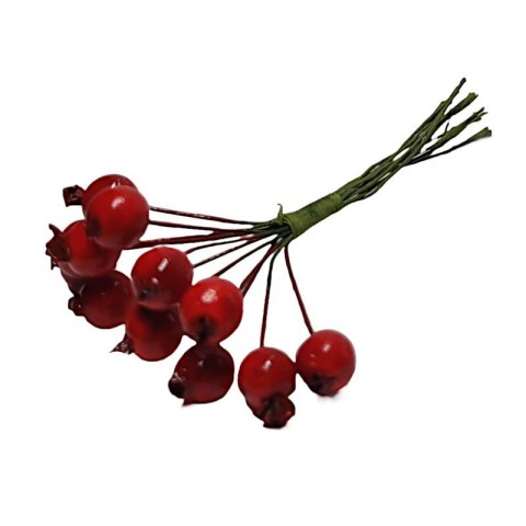 Gałązki głogu, głóg -12szt