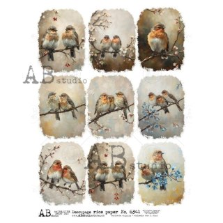 Papier ryżowy decoupage Abstudio A4 AB_6341