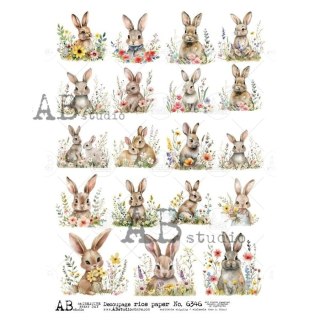 Papier ryżowy decoupage Abstudio A4 AB_6346